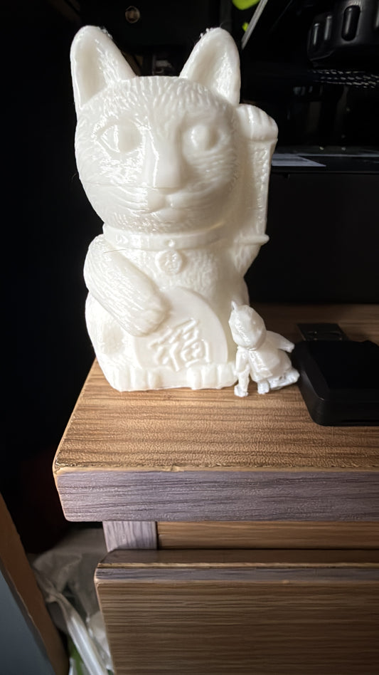 3D Cat model