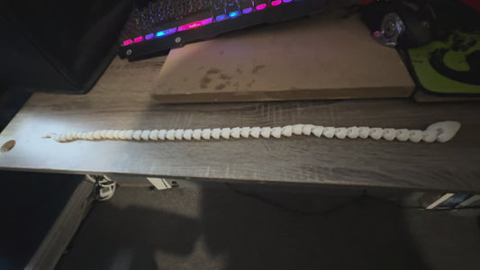 3D corn snake